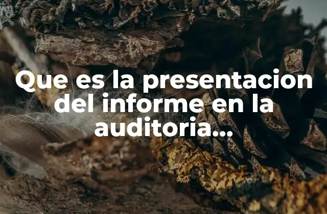Que es la Presentacion Del Informe en la Auditoria Administrativa