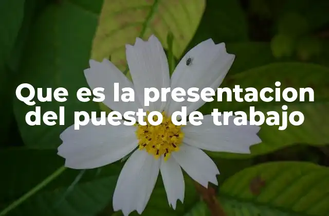Que es la Presentacion Del Puesto de Trabajo