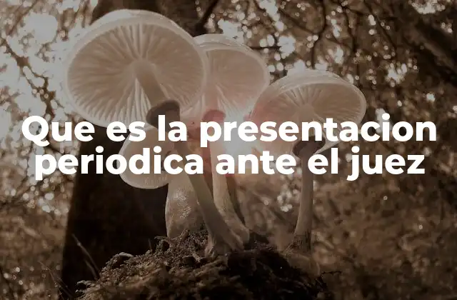 Que es la Presentacion Periodica ante el Juez