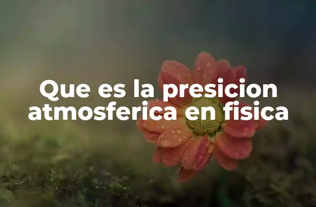 Que es la Presicion Atmosferica en Fisica