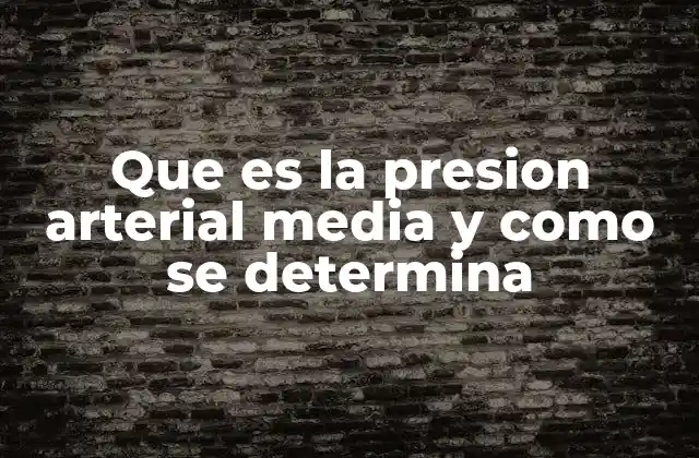 Que es la Presion Arterial Media y como Se Determina 2 Importancia de la presión arterial media en la medicina moderna