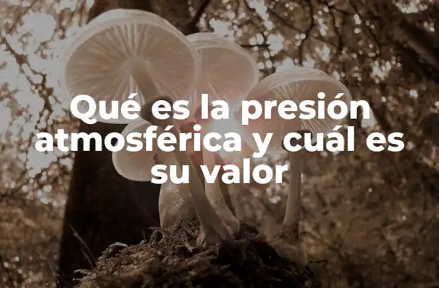 Qué es la Presión Atmosférica y Cuál es Su Valor