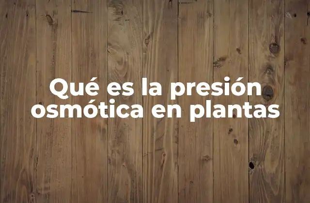 Qué es la Presión Osmótica en Plantas
