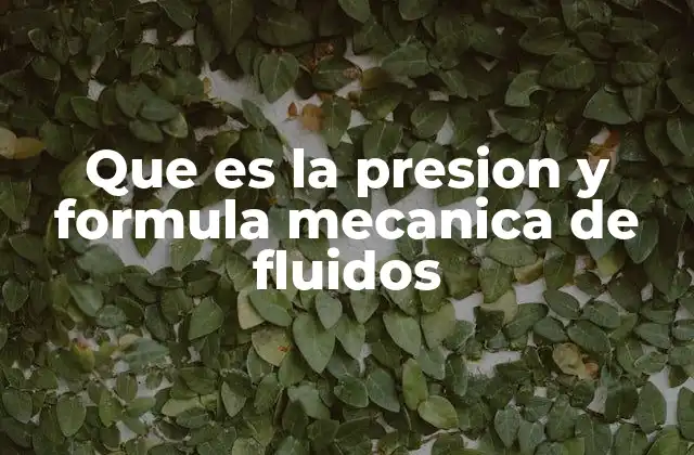 Que es la Presion y Formula Mecanica de Fluidos