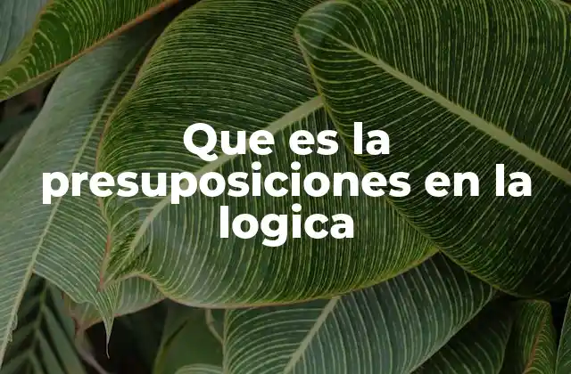Que es la Presuposiciones en la Logica