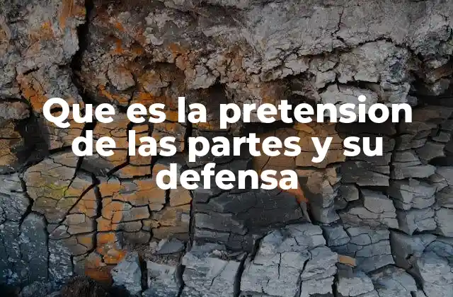 Que es la Pretension de las Partes y Su Defensa