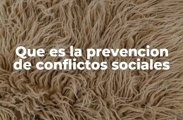 Que es la Prevencion de Conflictos Sociales