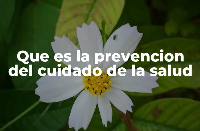 Cómo la prevención se convierte en el primer paso hacia una vida saludable