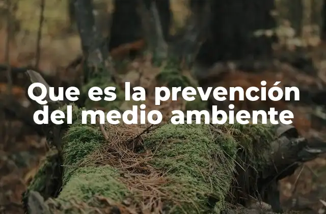 Que es la Prevención Del Medio Ambiente