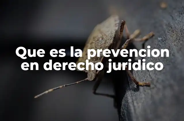 Que es la Prevencion en Derecho Juridico 2 La prevención como pilar del sistema legal