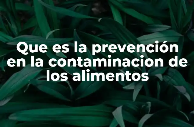 Que es la Prevención en la Contaminacion de los Alimentos