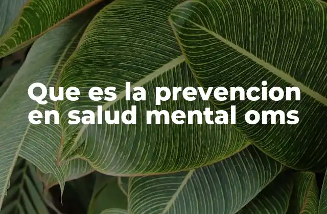 Que es la Prevencion en Salud Mental Oms 2 La salud mental como prioridad en políticas públicas