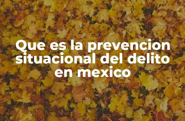 Que es la Prevencion Situacional Del Delito en Mexico