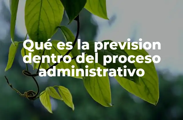 Qué es la Prevision Dentro Del Proceso Administrativo