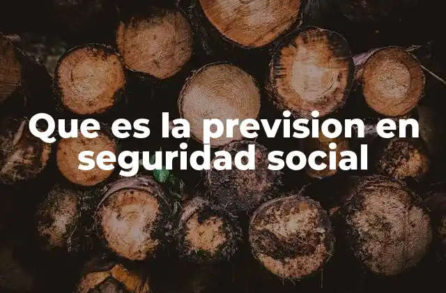 Que es la Prevision en Seguridad Social