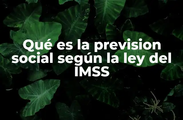 El rol del IMSS en la protección de los trabajadores