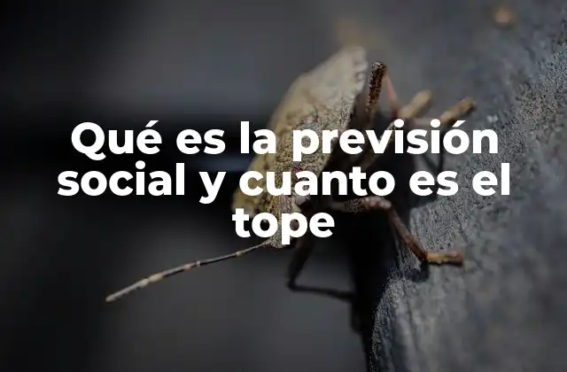 Qué es la Previsión Social y Cuanto es el Tope