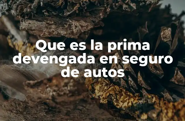 Que es la Prima Devengada en Seguro de Autos 2 El papel de la prima devengada en el cálculo de reembolsos