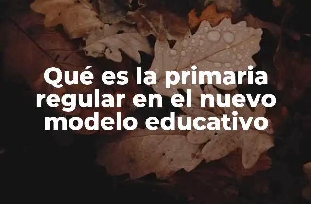 Qué es la Primaria Regular en el Nuevo Modelo Educativo