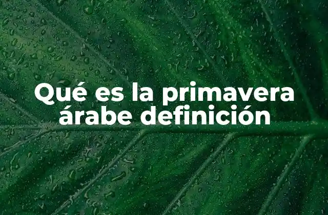 Qué es la Primavera Árabe Definición