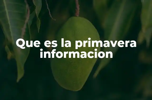 Que es la Primavera Informacion