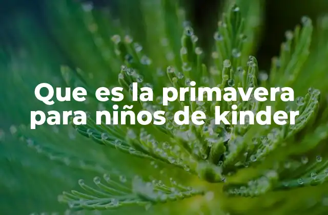 Que es la Primavera para Niños de Kinder