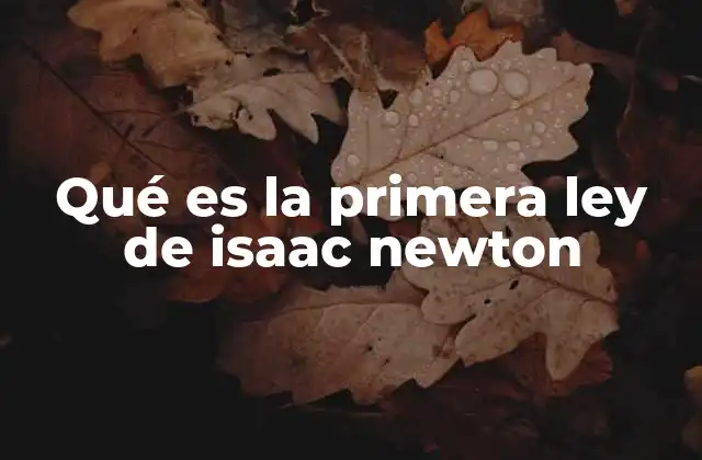 Qué es la Primera Ley de Isaac Newton