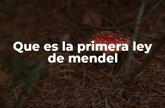 Que es la Primera Ley de Mendel