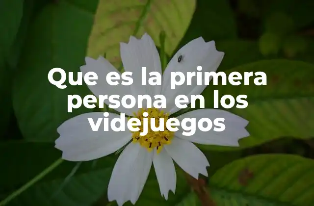 Que es la Primera Persona en los Videjuegos