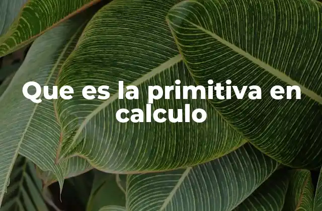 El papel de la primitiva en el cálculo integral