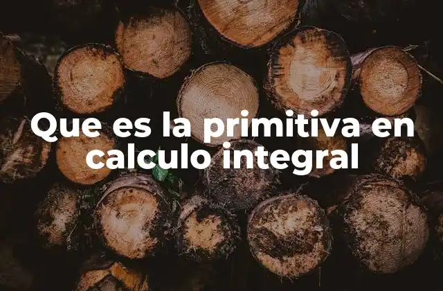 Que es la Primitiva en Calculo Integral 2 Importancia de las primitivas en la resolución de integrales