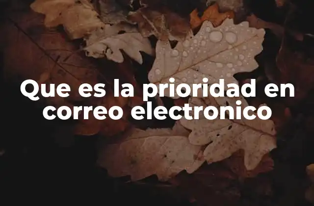 Que es la Prioridad en Correo Electronico