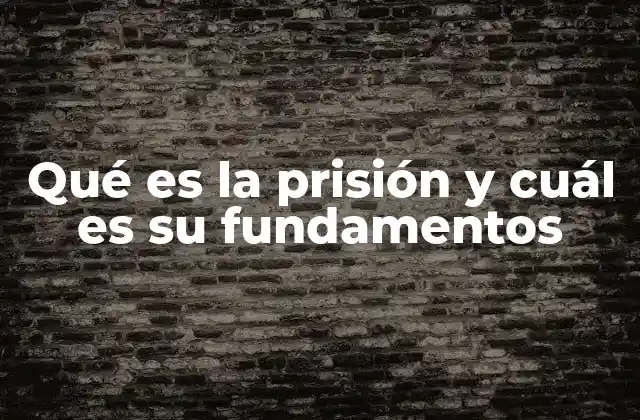 El rol de la prisión en el sistema de justicia penal