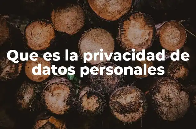 Que es la Privacidad de Datos Personales