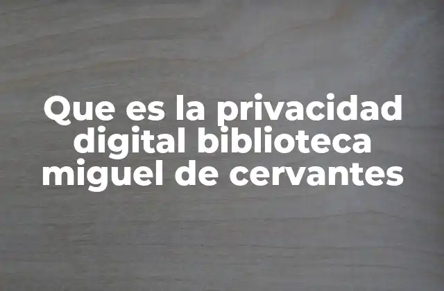 Que es la Privacidad Digital Biblioteca Miguel de Cervantes