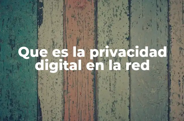 Que es la Privacidad Digital en la Red