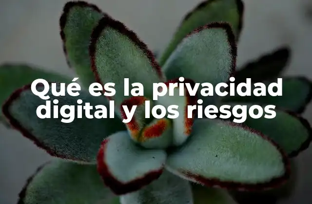 Qué es la Privacidad Digital y los Riesgos