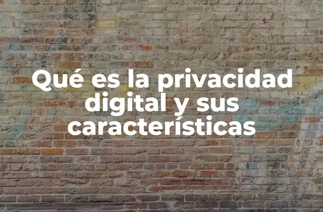 Qué es la Privacidad Digital y Sus Características