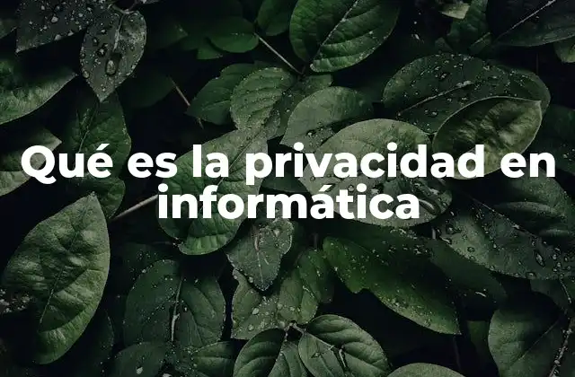Qué es la Privacidad en Informática 2 La importancia de la protección de datos personales en la era digital