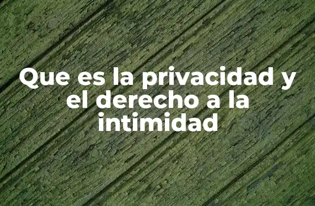 Que es la Privacidad y el Derecho a la Intimidad