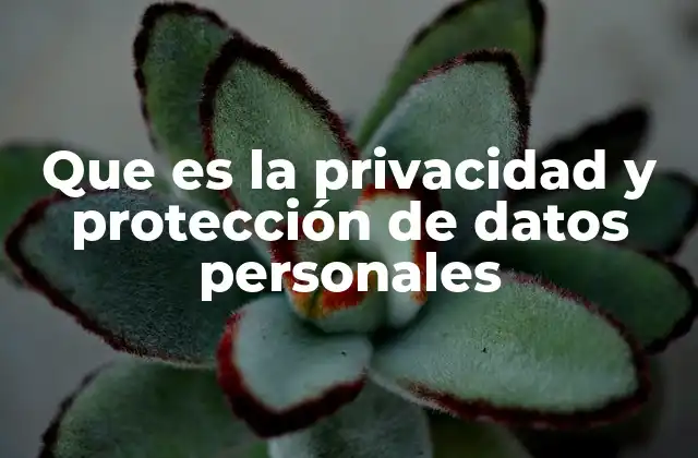 Que es la Privacidad y Protección de Datos Personales