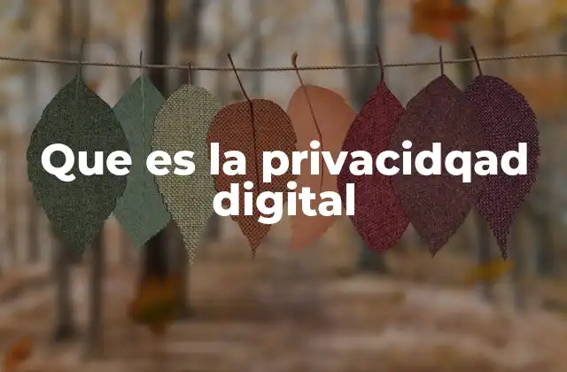 Que es la Privacidqad Digital