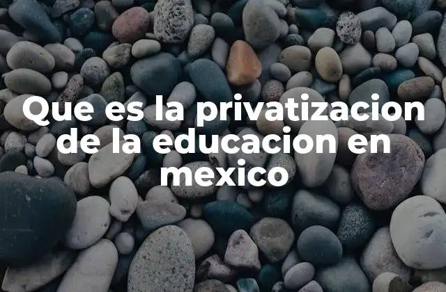 Que es la Privatizacion de la Educacion en Mexico