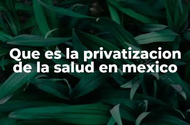 Que es la Privatizacion de la Salud en Mexico