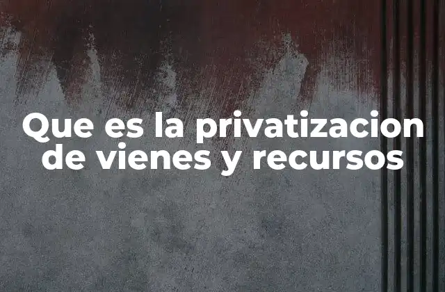 Que es la Privatizacion de Vienes y Recursos