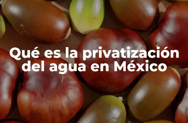 Qué es la Privatización Del Agua en México