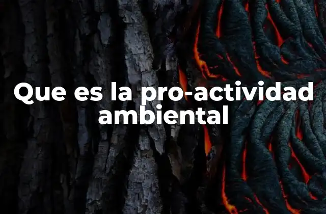 Que es la Pro-actividad Ambiental