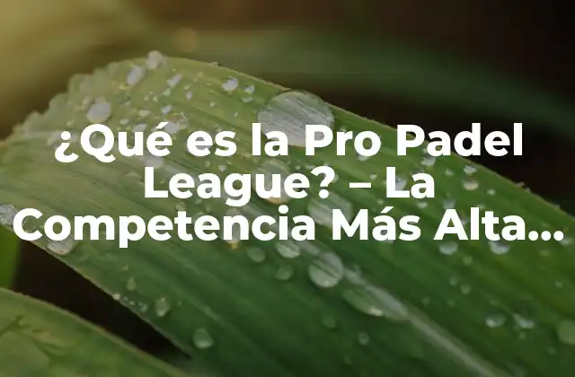 ¿qué es la Pro Padel League? – la Competencia Más Alta Del Padel