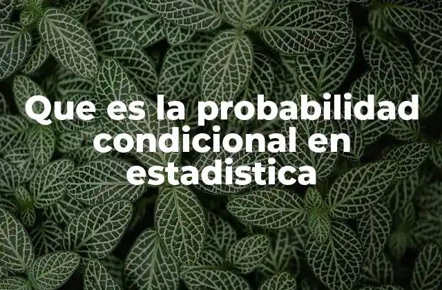 Que es la Probabilidad Condicional en Estadistica