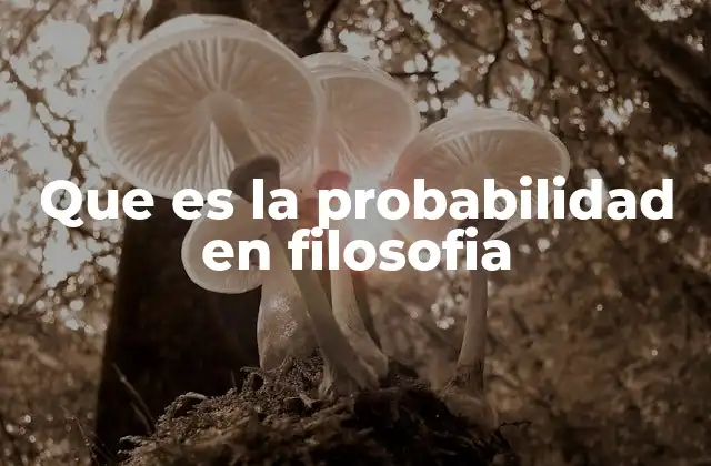 Que es la Probabilidad en Filosofia